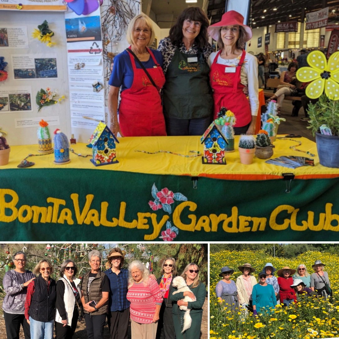 The SVCA shares a community spotlight on Bonita Valley Garden Club, which promotes civic beautification, service, and education in South Bay.